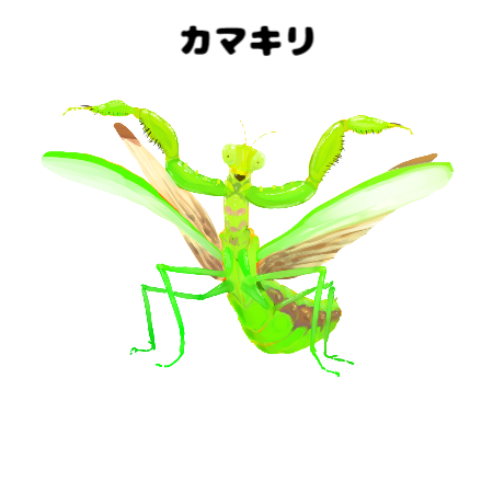 カマキリのイラスト