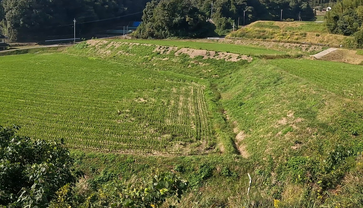 田舎の田園風景