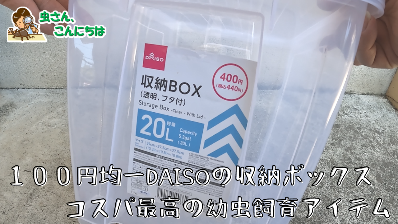 カブトムシの幼虫飼育に使える100円均一ショップ、DAISOの収納ボックス