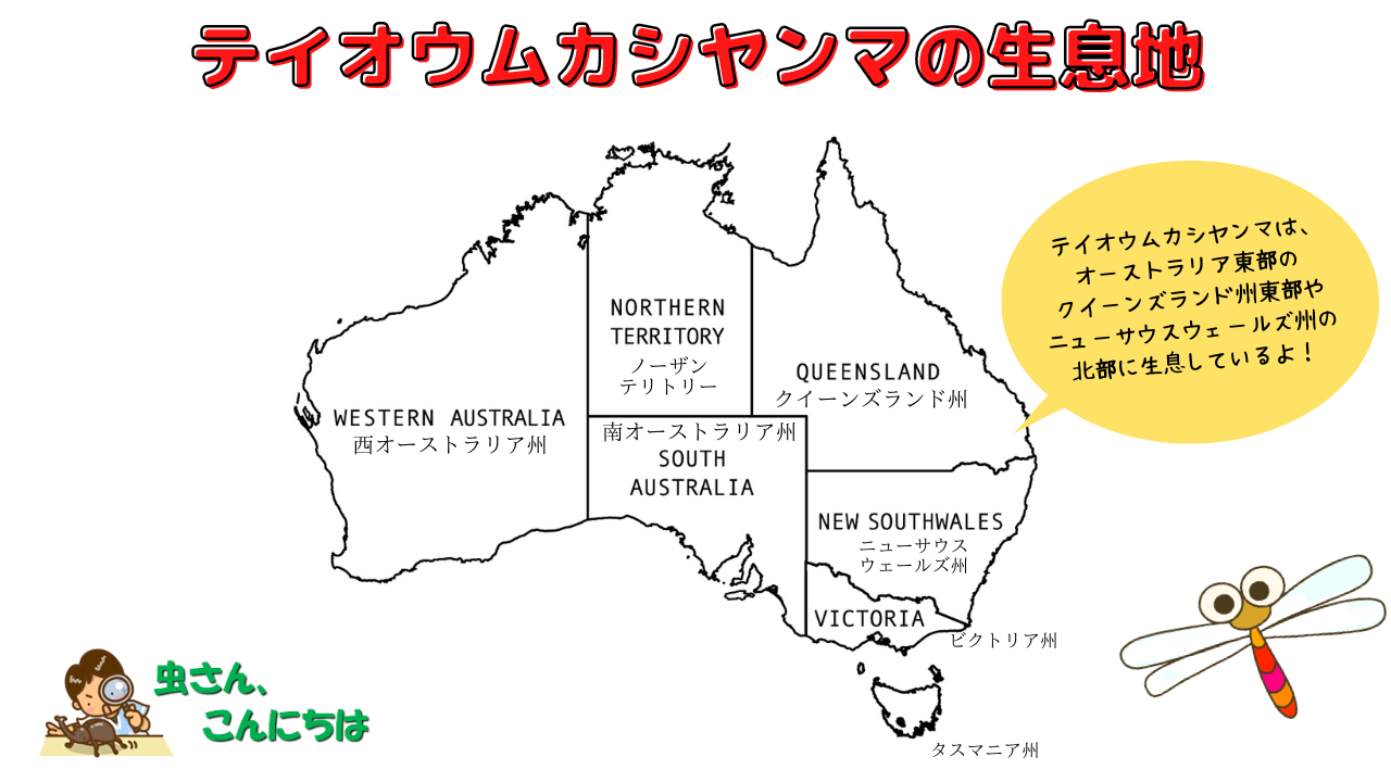 テイオウムカシヤンマの生息地であるオーストラリア東部のクイーンズランド州とニューサウスウェールズ州の画像
