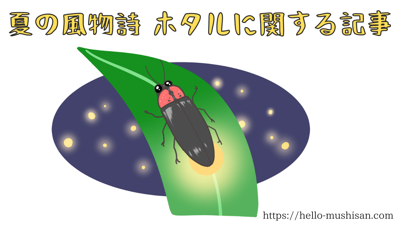 幻想的な光を放つホタルのイラスト