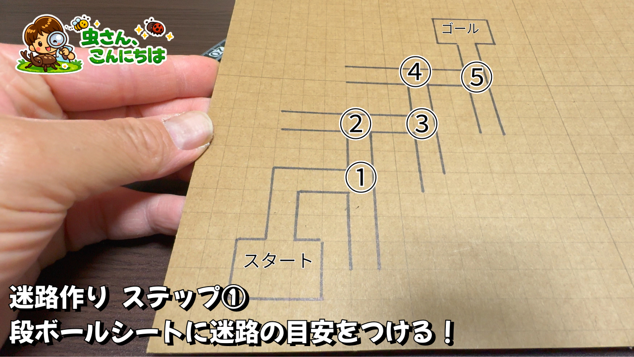 段ボールシートに迷路の目安をつけた画像