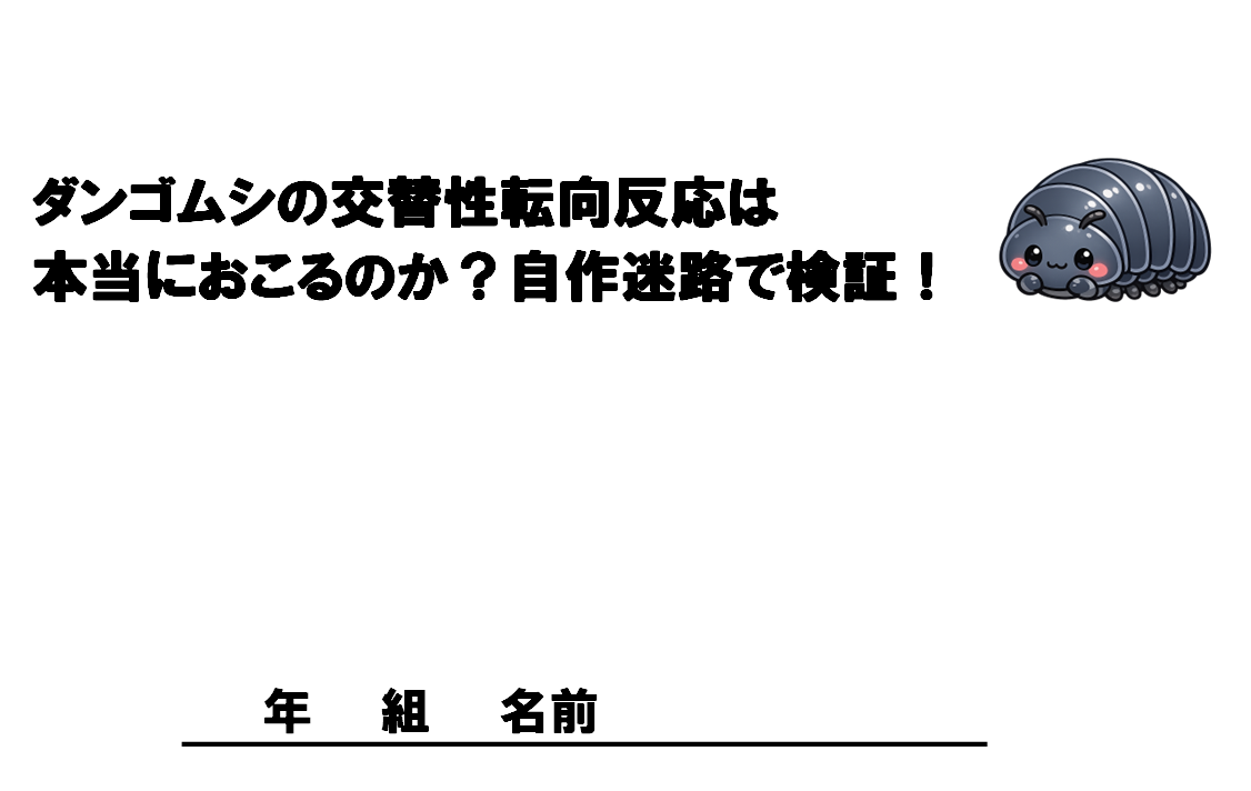 ダンゴムシの交替性転向反応 研究タイトルの画像